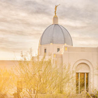 10+ Jawdropping Tucson Temple Pictures: Desert Blossoms
