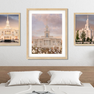 20 Beautiful Payson Utah Temple Pictures