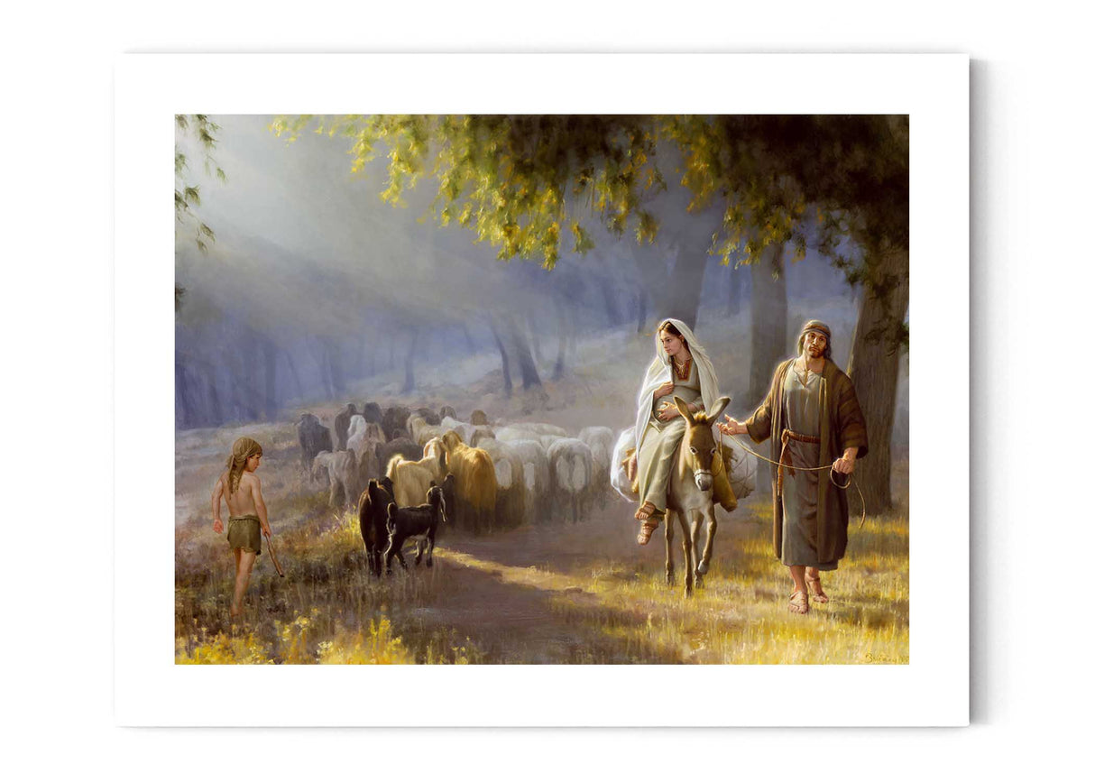 Journey To Bethlehem