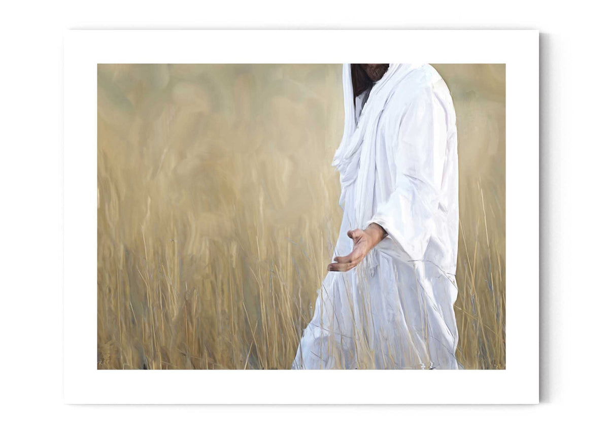 The Gatherer