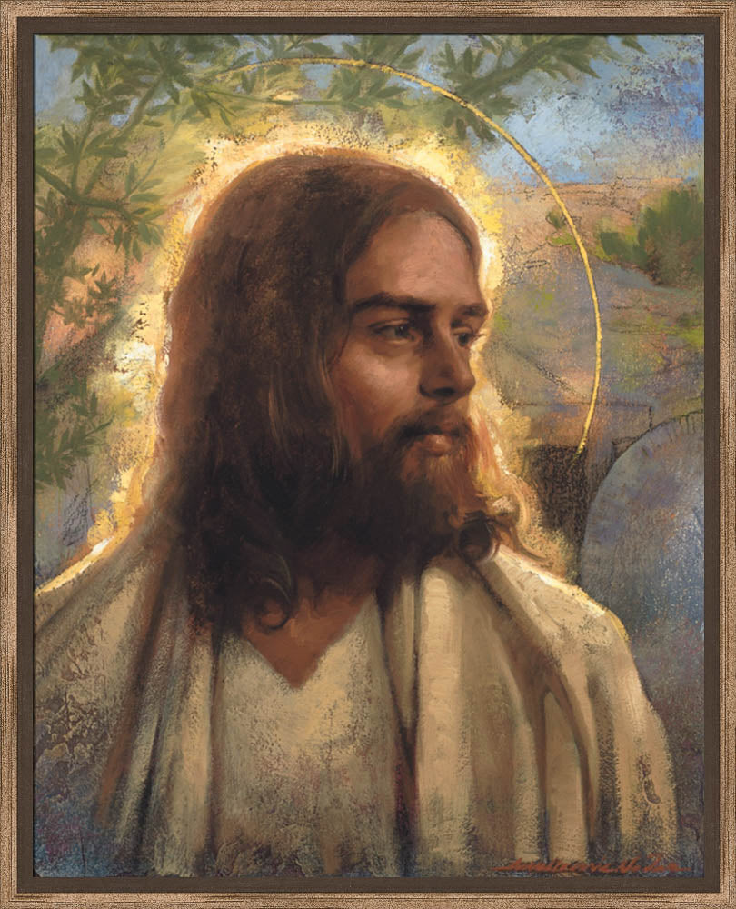 Light of Life by Annie Henrie Nader