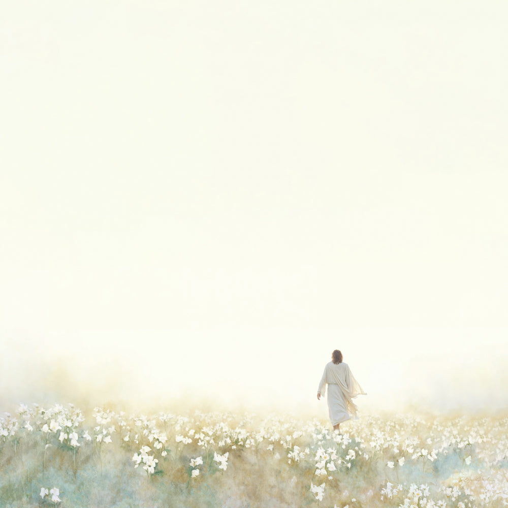 Into the Light
