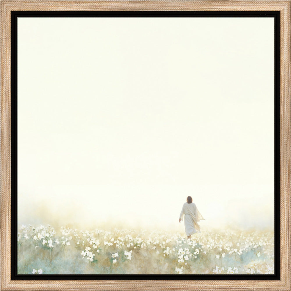 Into the Light
