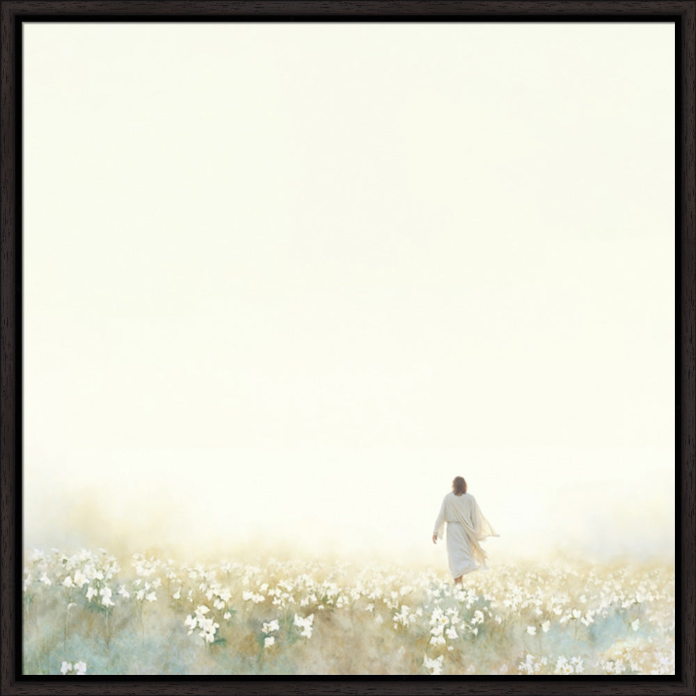 Into the Light