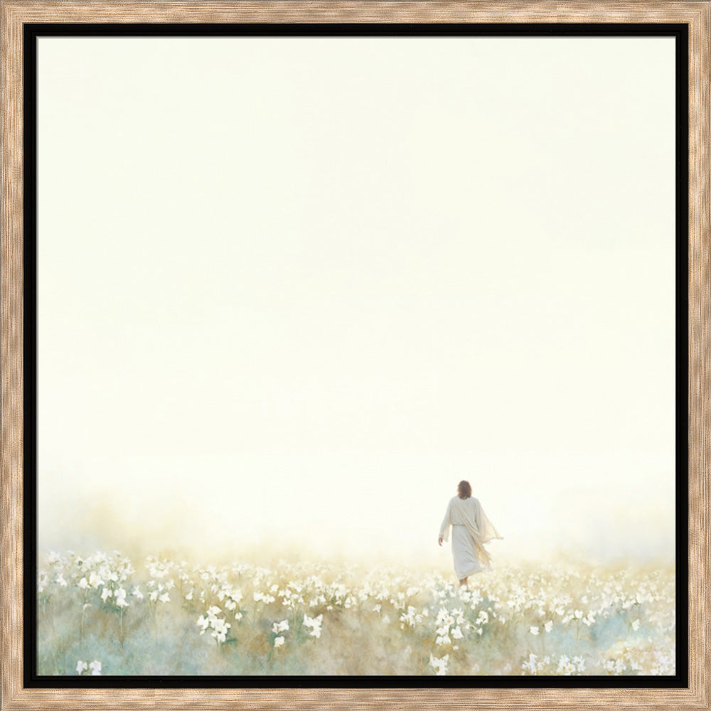 Into the Light