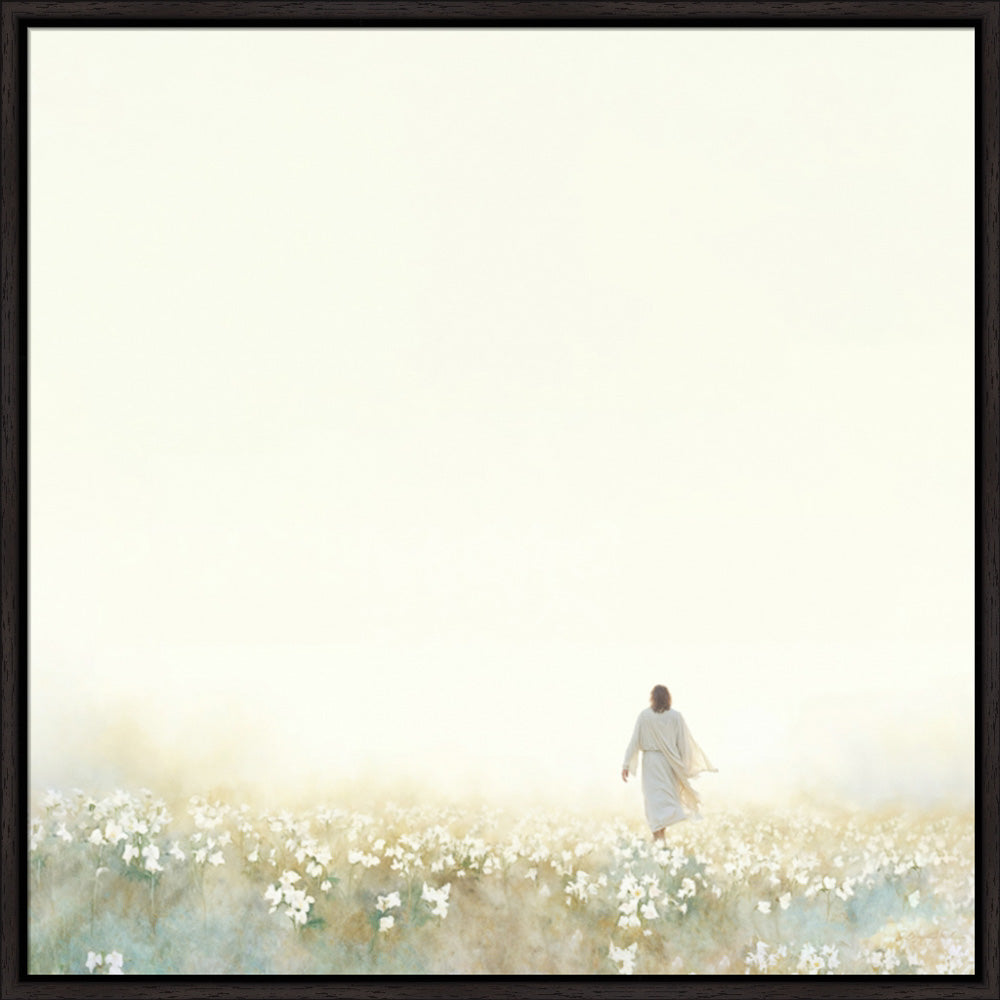 Into the Light