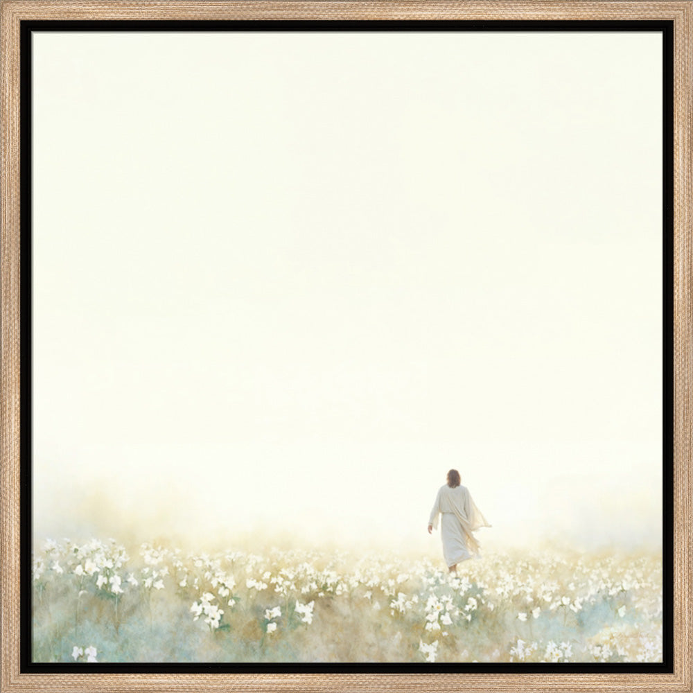 Into the Light