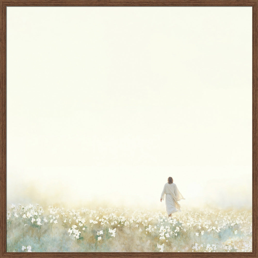 Into the Light