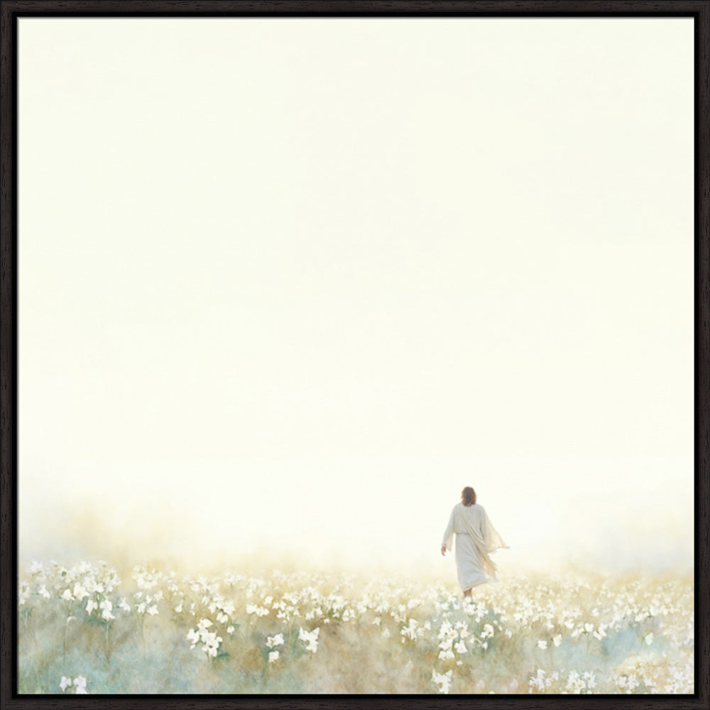 Into the Light