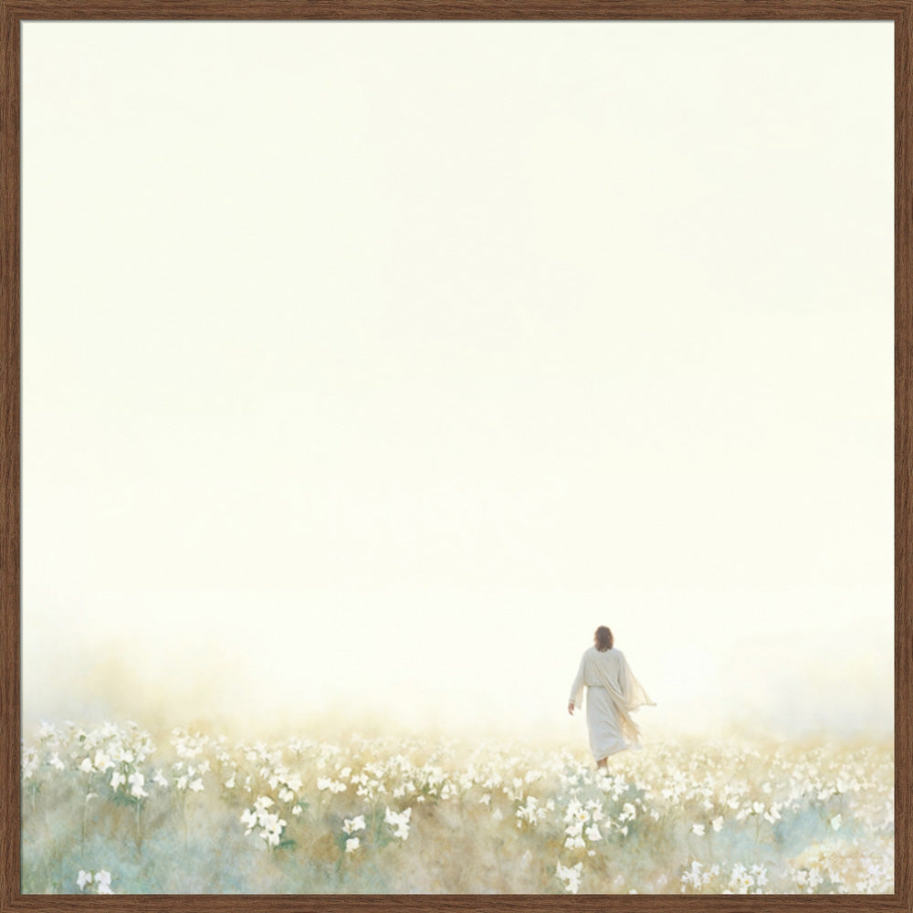 Into the Light