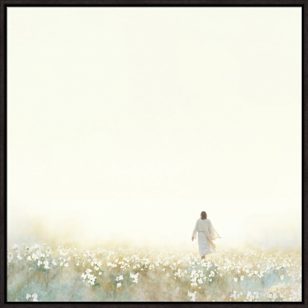 Into the Light
