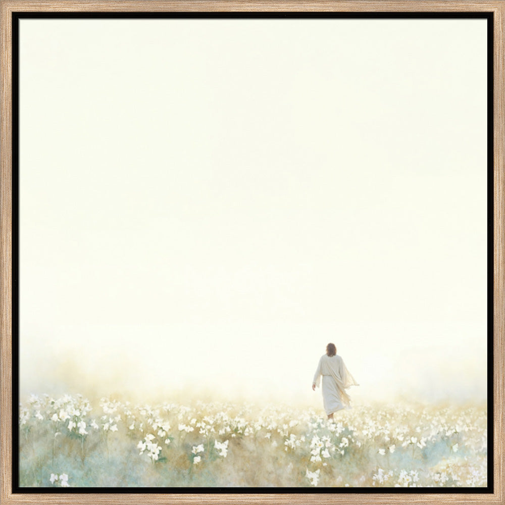 Into the Light