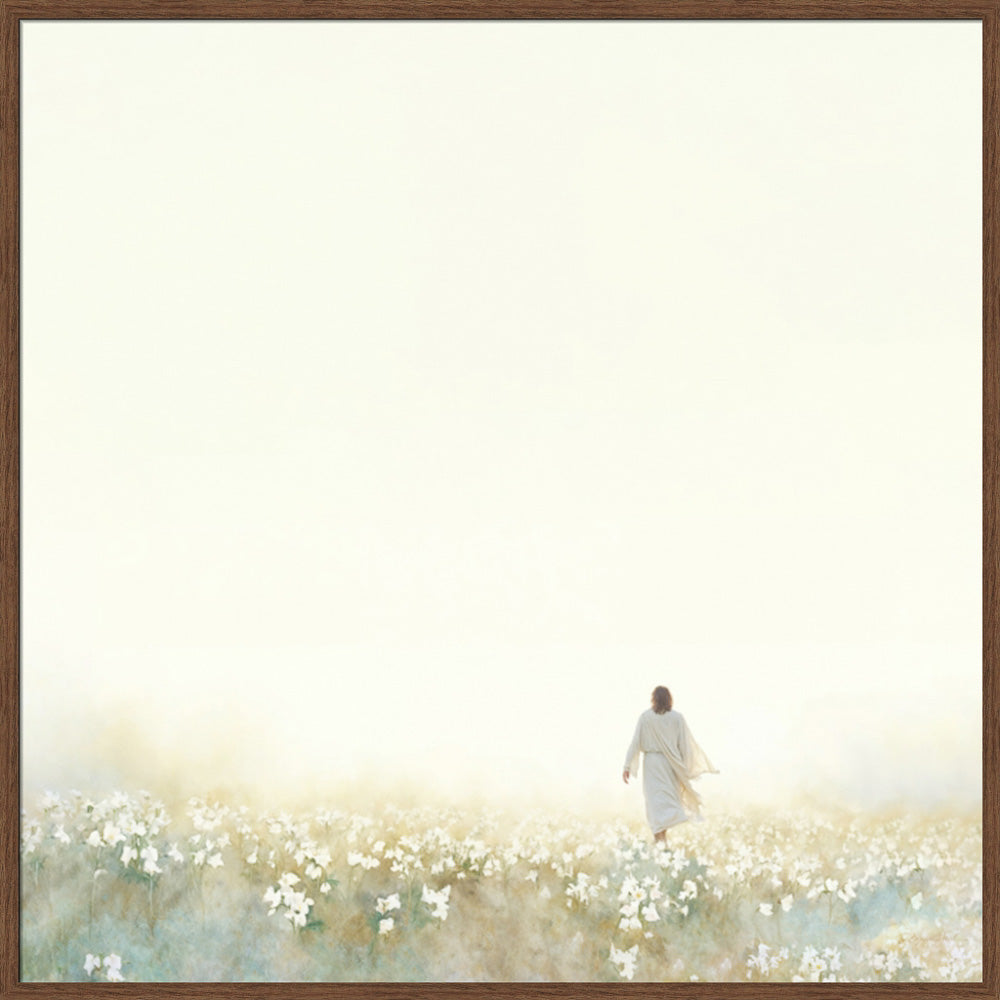 Into the Light
