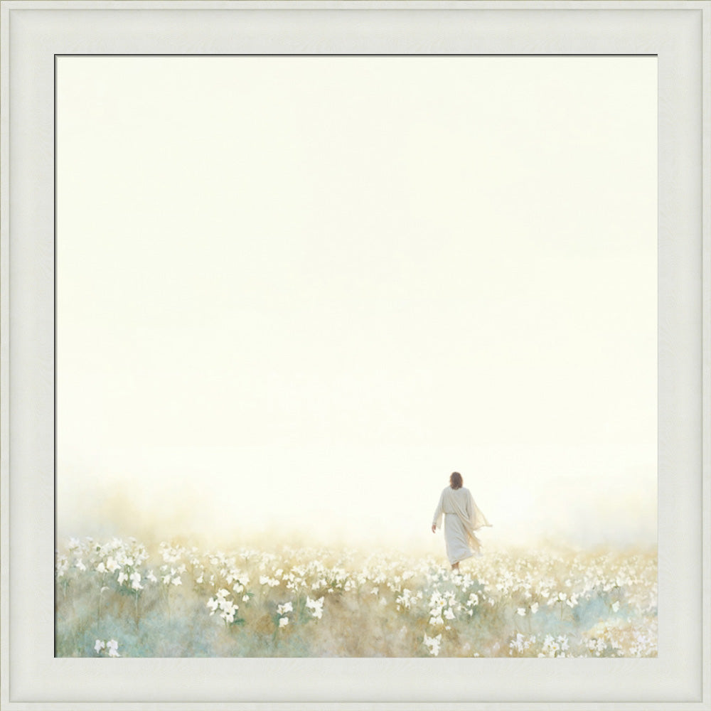 Into the Light