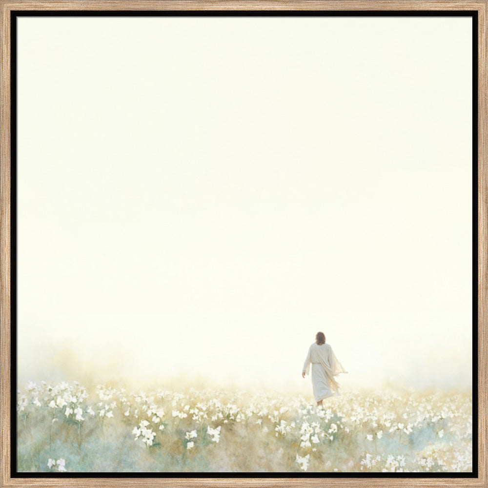 Into the Light
