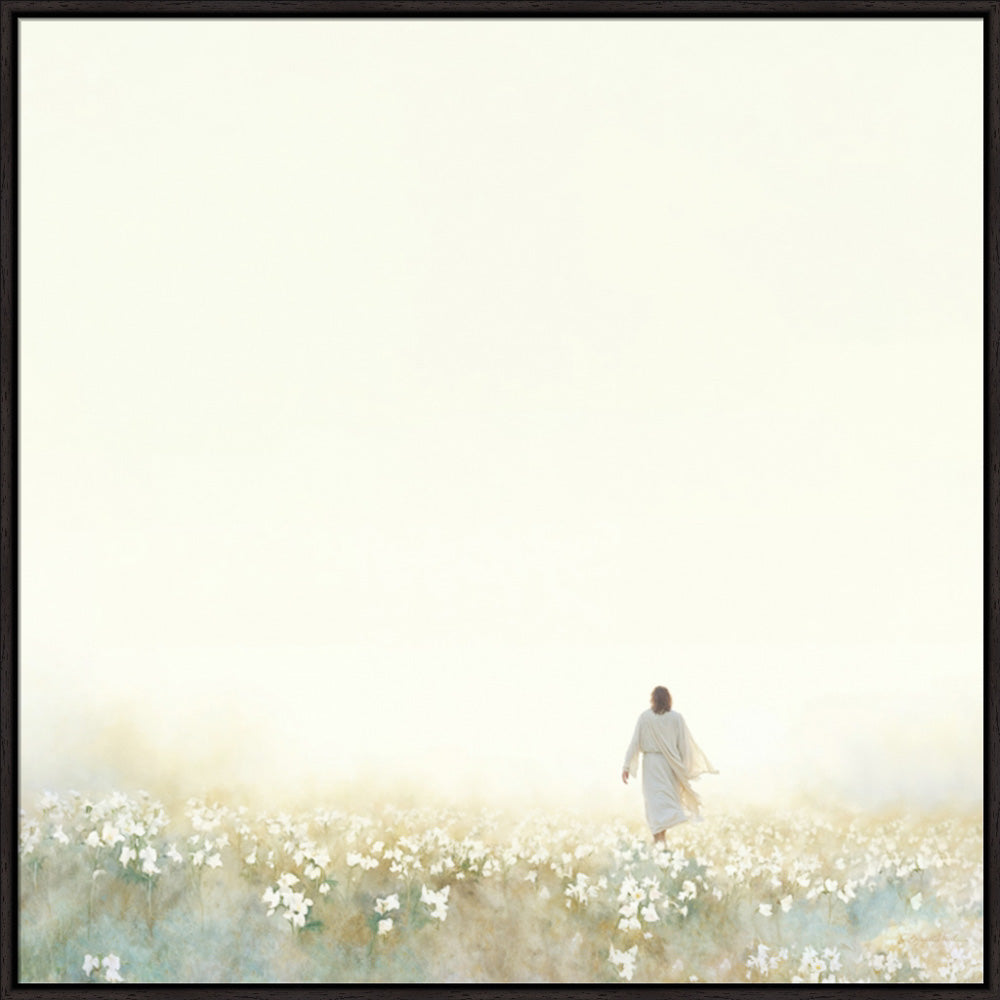 Into the Light