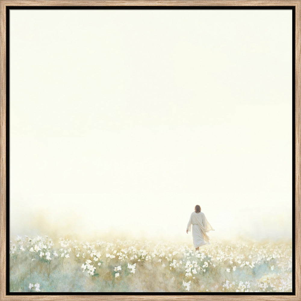 Into the Light