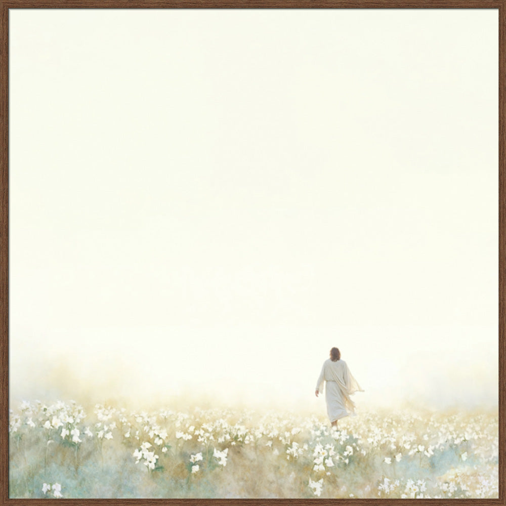 Into the Light