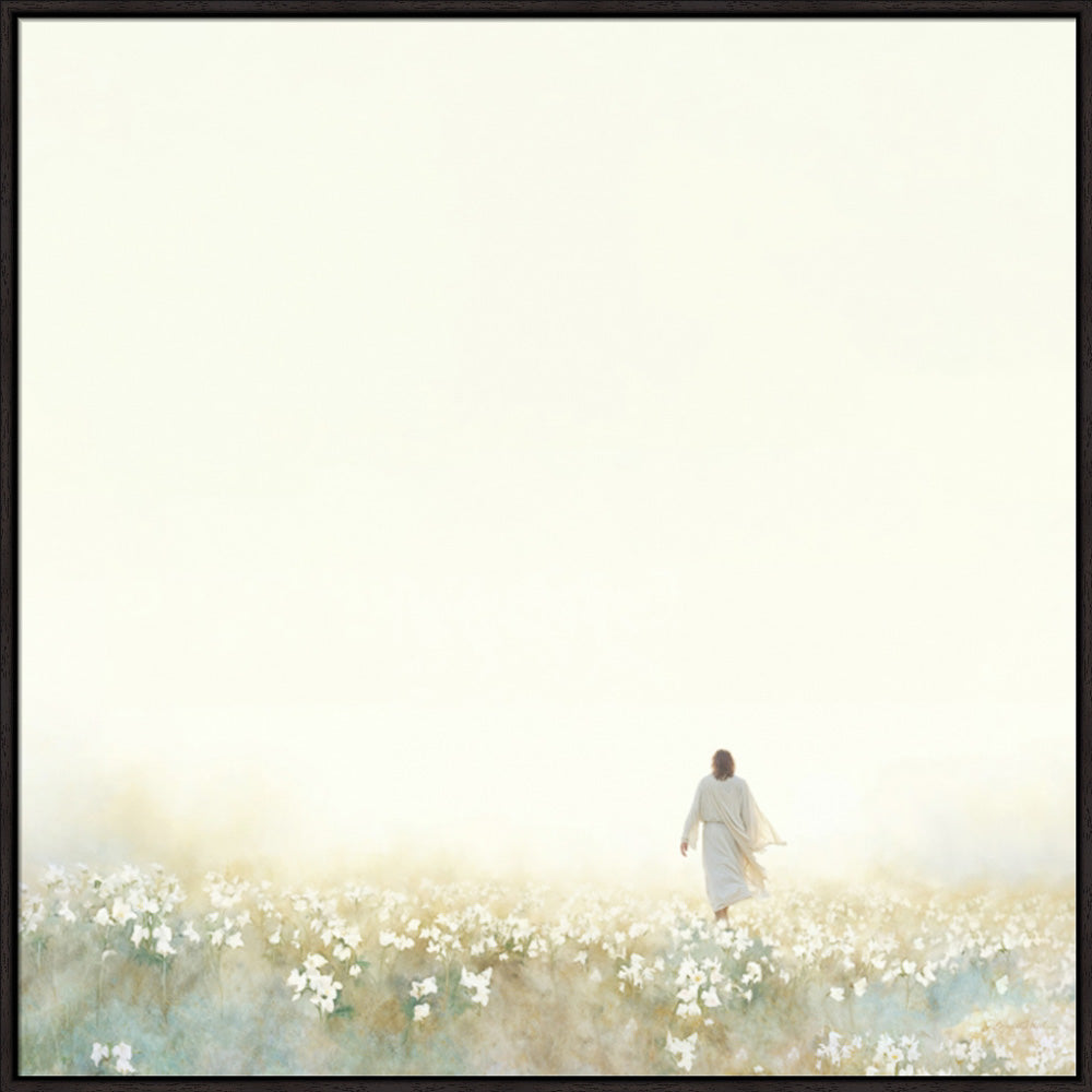 Into the Light