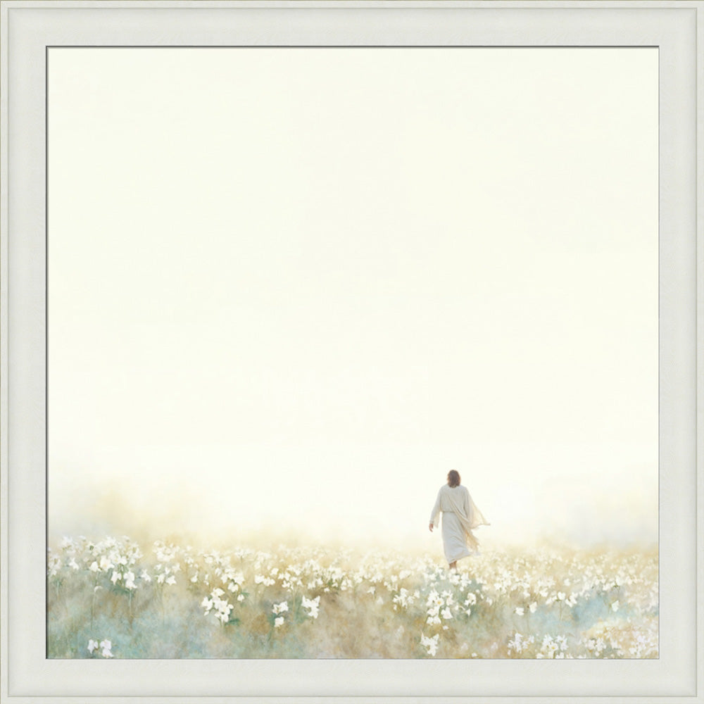 Into the Light