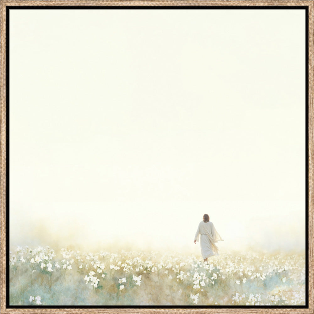 Into the Light