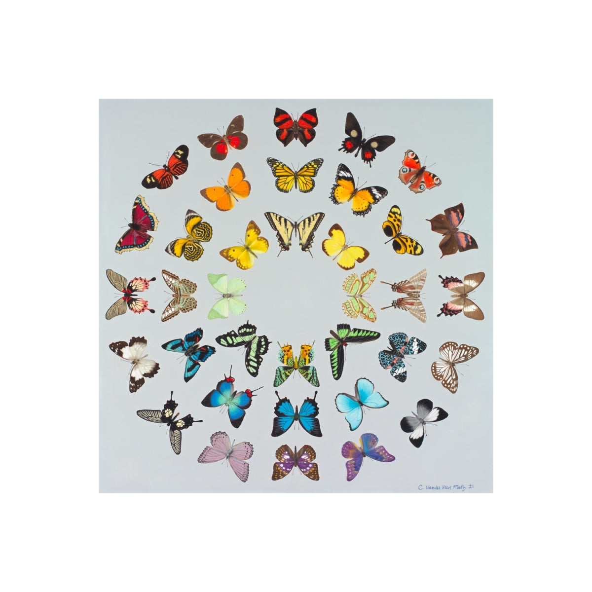 Diversity