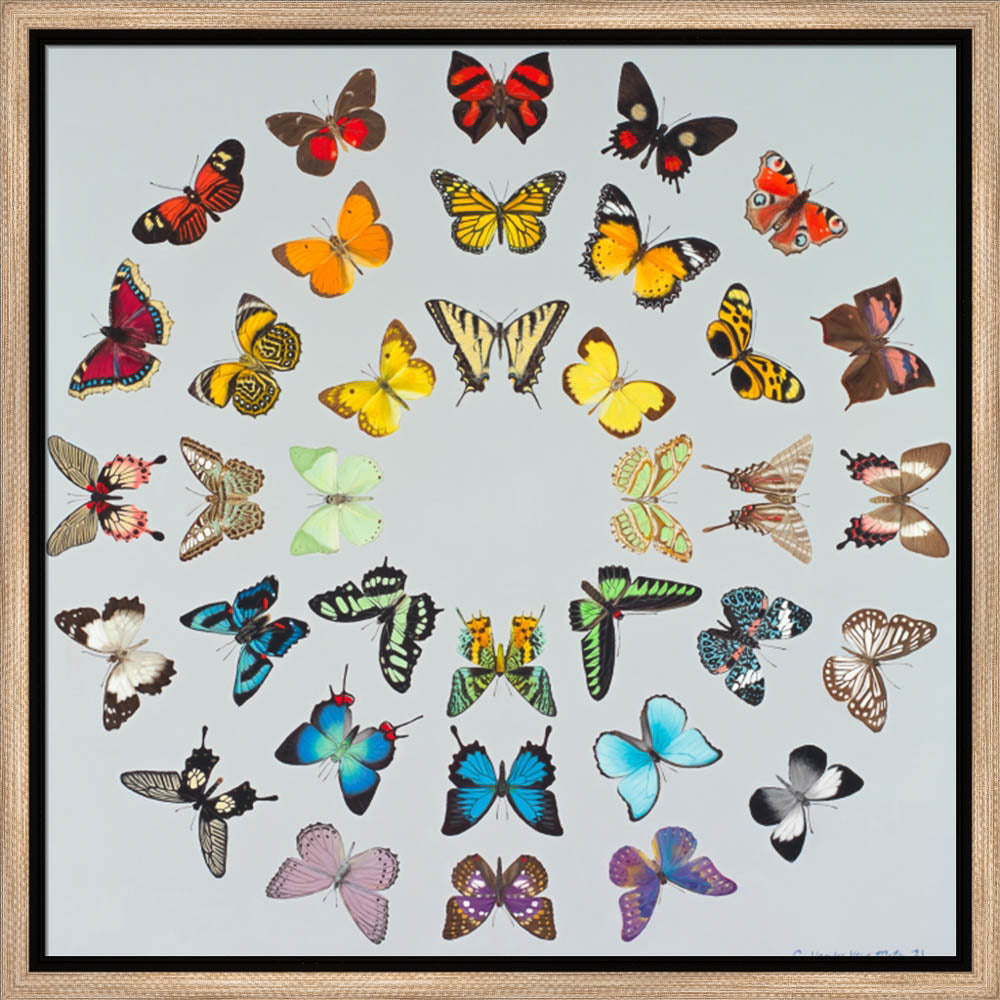 Diversity