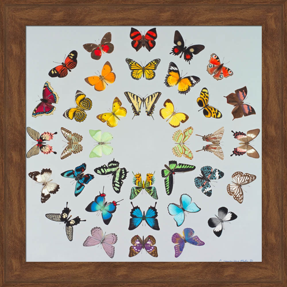 Diversity