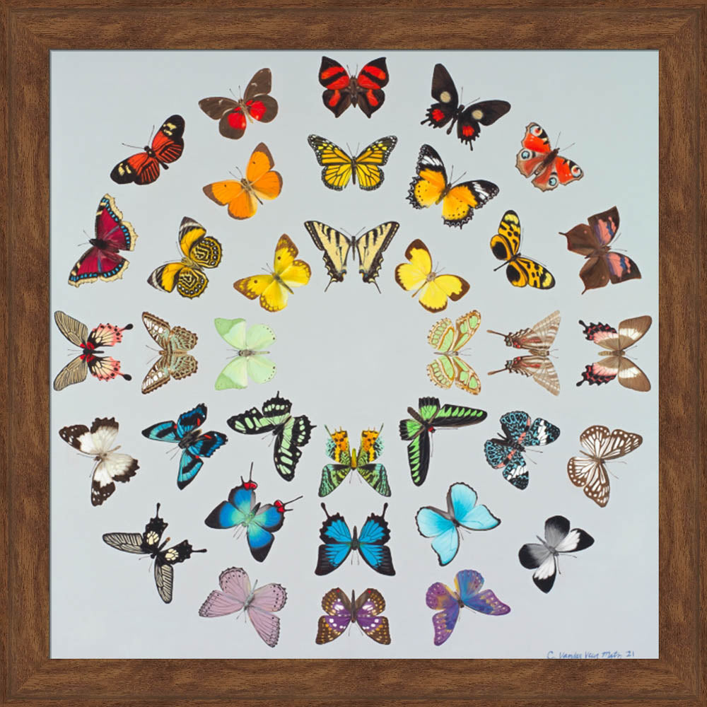 Diversity