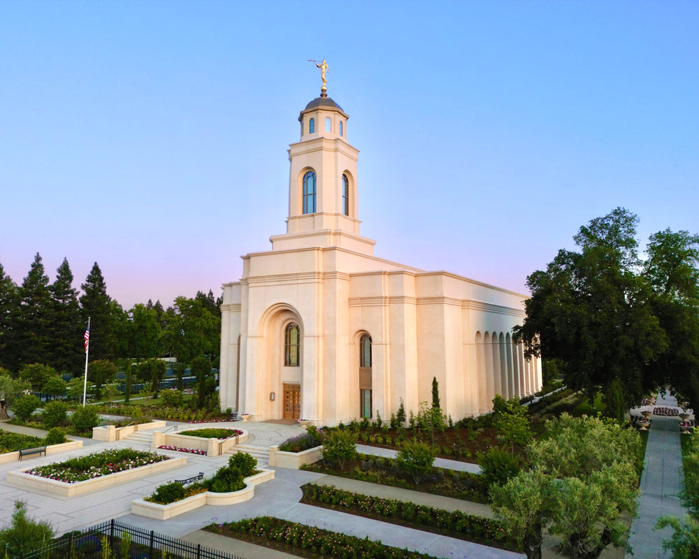 Feather River California Temple - A Nourished Vineyard