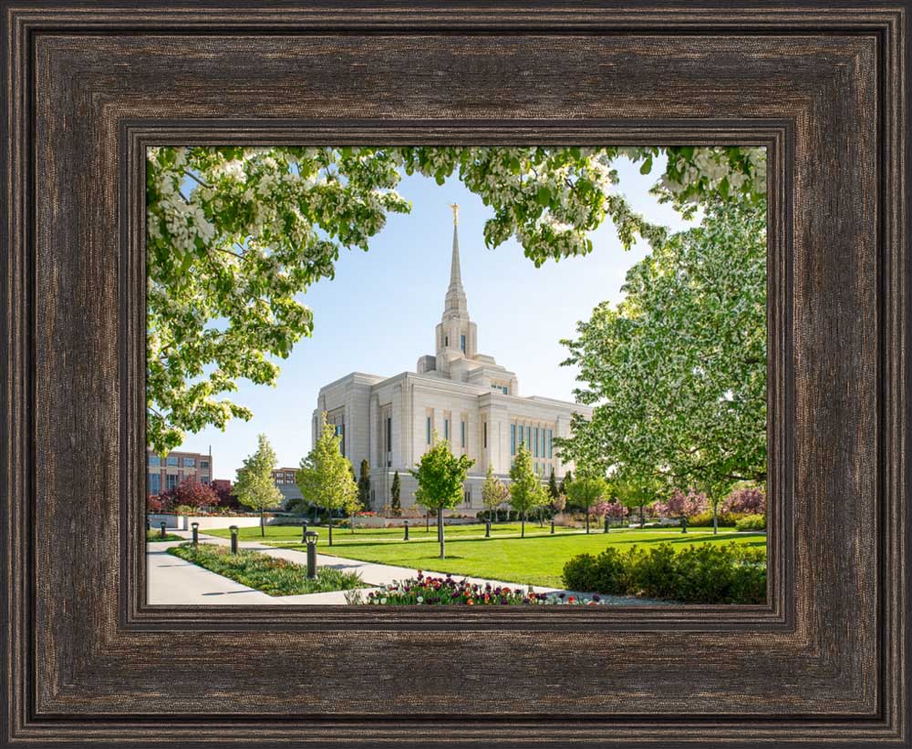 Ogden Utah Temple- Spring Blossoms