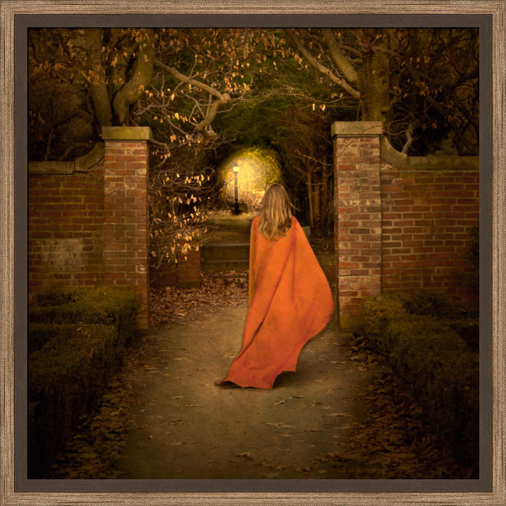 The Path by Eva Koleva Timothy