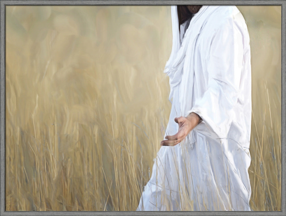 The Gatherer