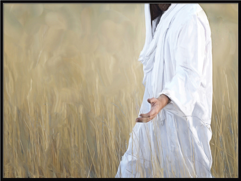 The Gatherer