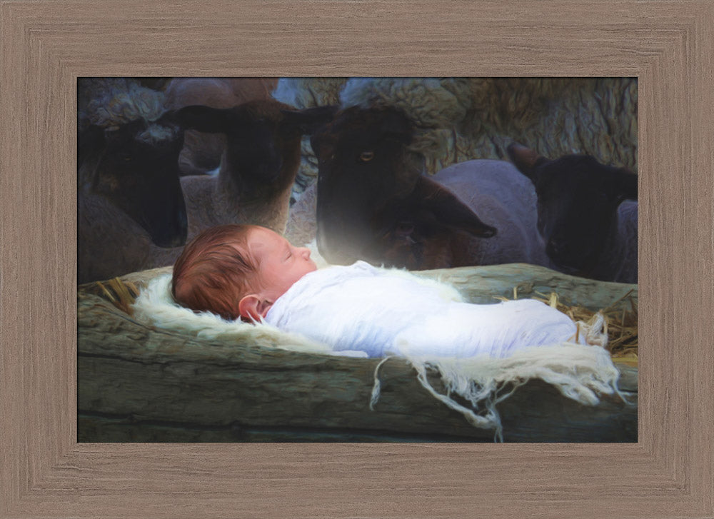 Baby Jesus sleeping in a manger.
