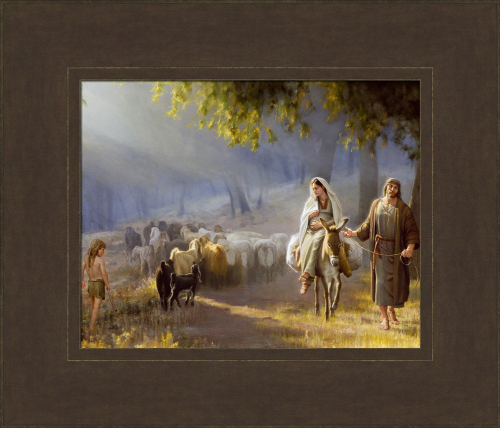 Journey To Bethlehem