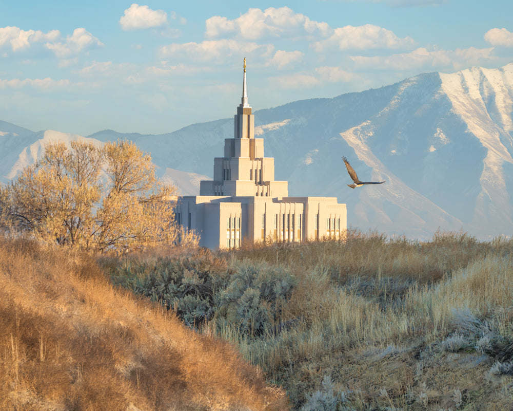 Saratoga Springs Temple - Upon His Wings