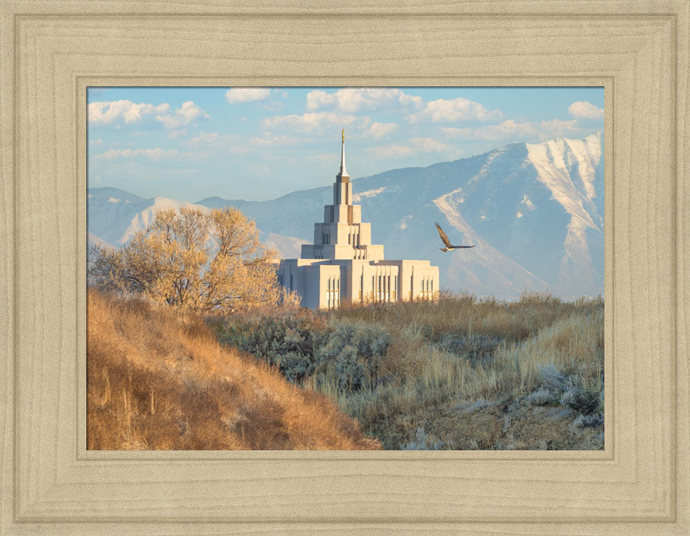 Saratoga Springs Temple - Upon His Wings