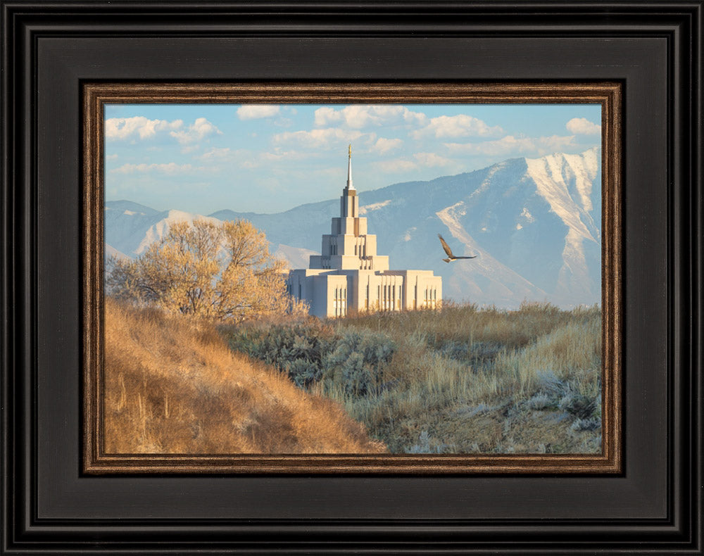 Saratoga Springs Temple - Upon His Wings
