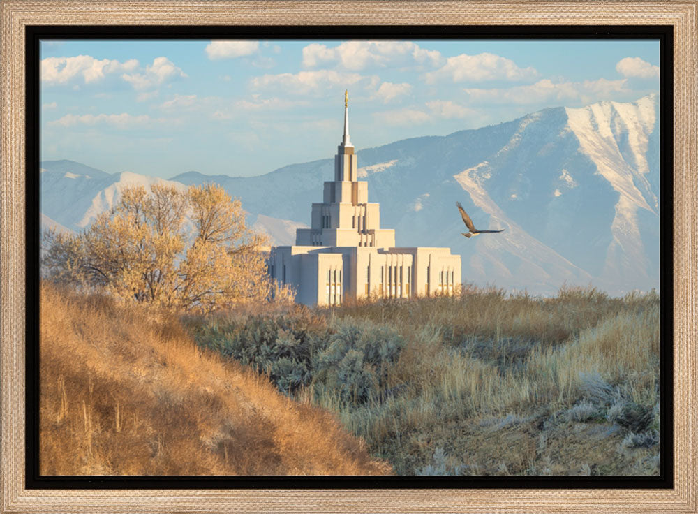 Saratoga Springs Temple - Upon His Wings