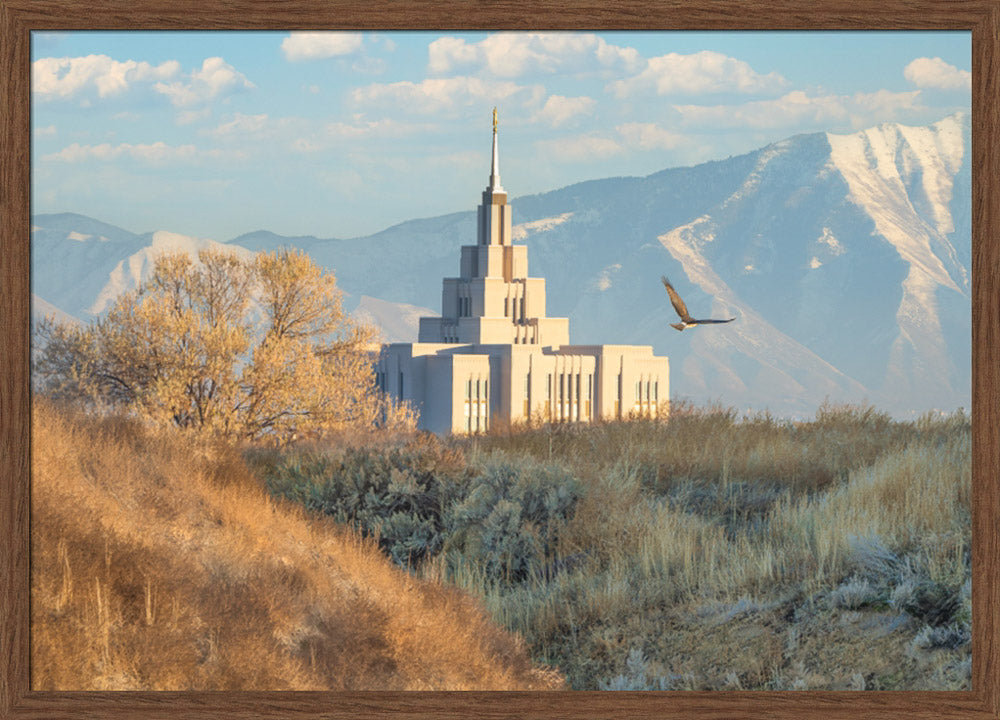 Saratoga Springs Temple - Upon His Wings