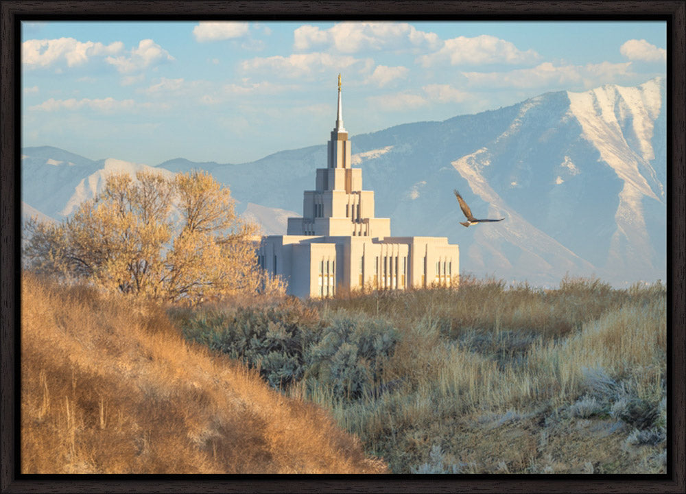 Saratoga Springs Temple - Upon His Wings