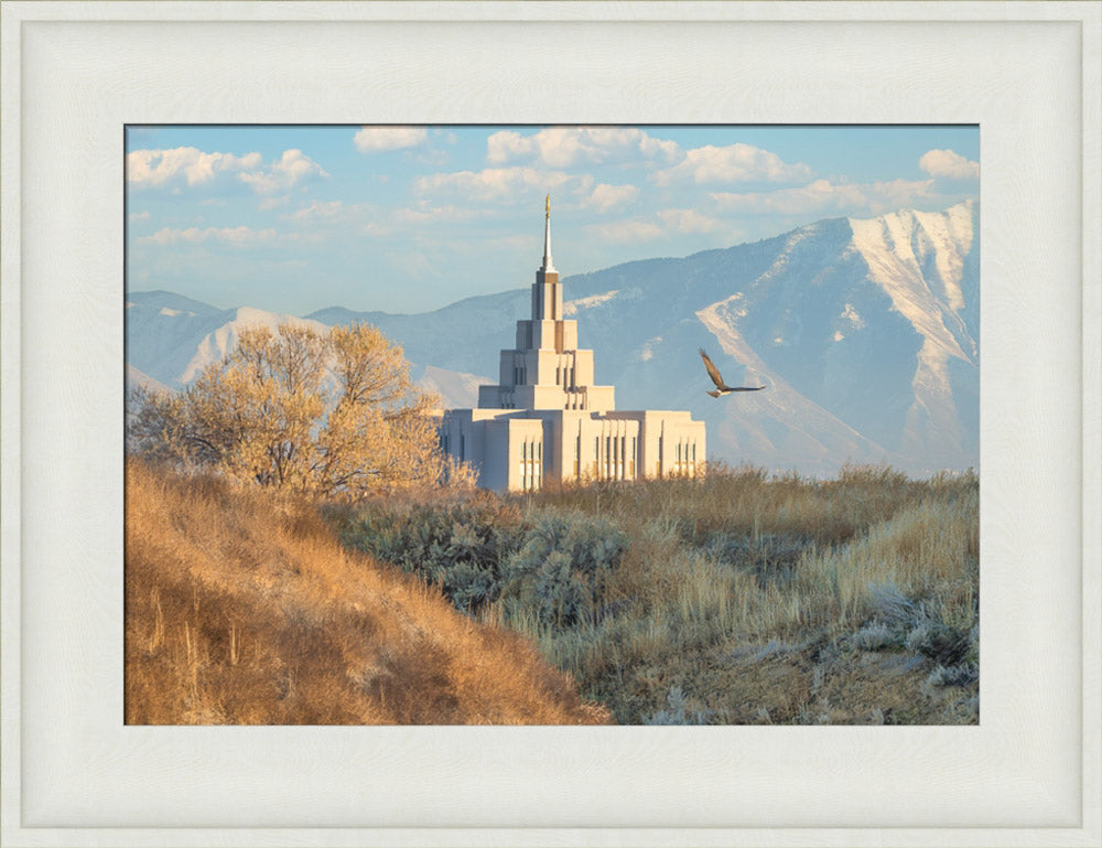 Saratoga Springs Temple - Upon His Wings