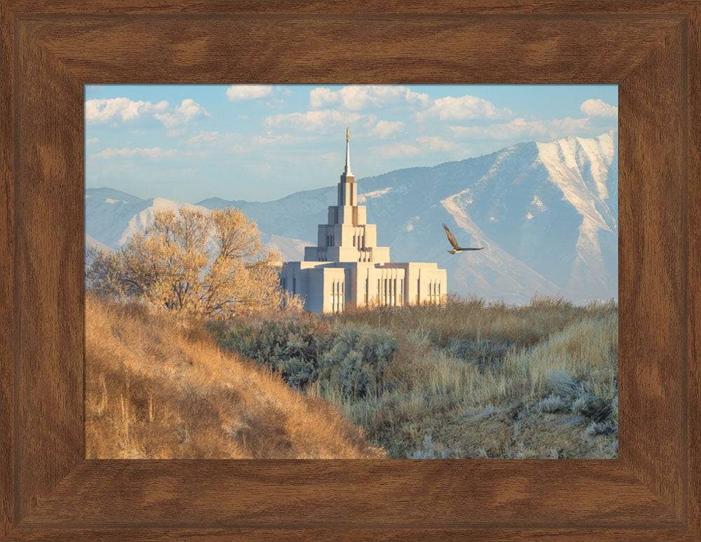 Saratoga Springs Temple - Upon His Wings
