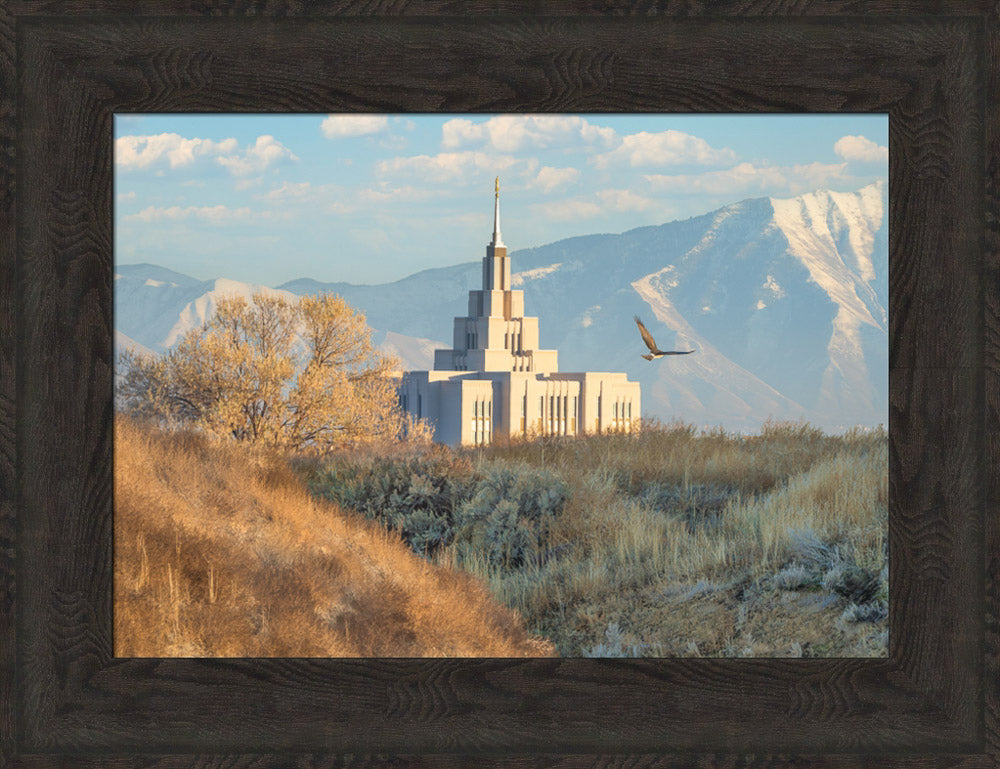 Saratoga Springs Temple - Upon His Wings