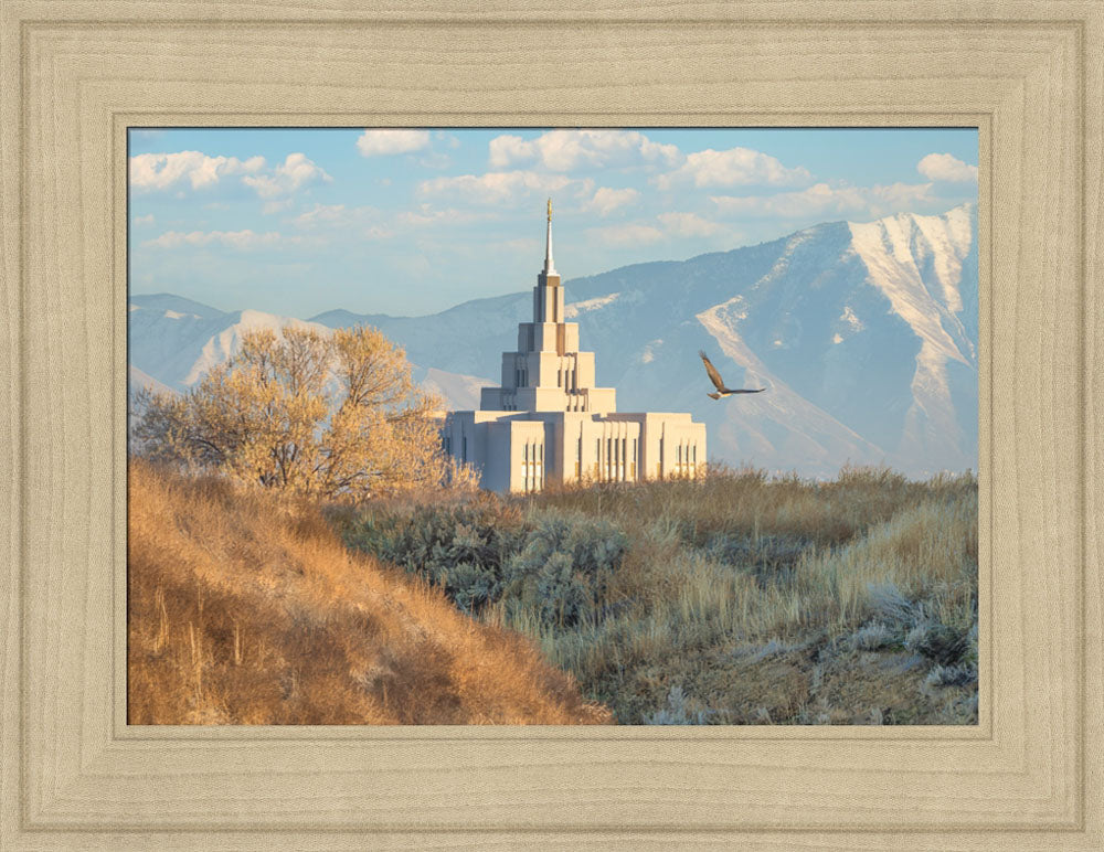 Saratoga Springs Temple - Upon His Wings