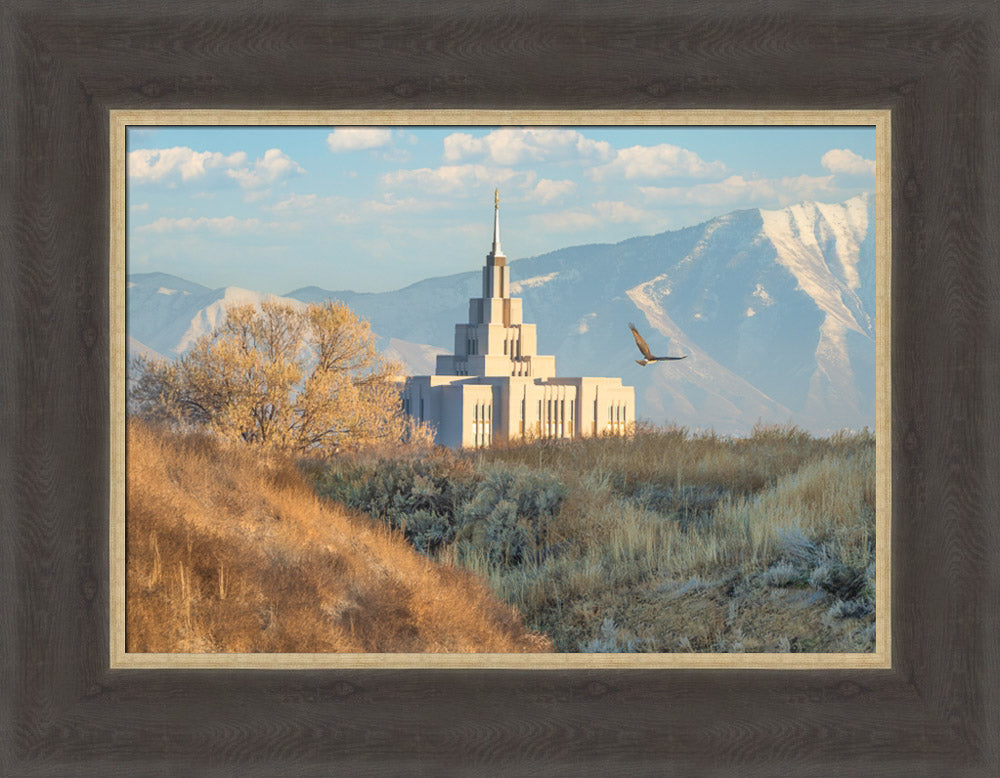 Saratoga Springs Temple - Upon His Wings