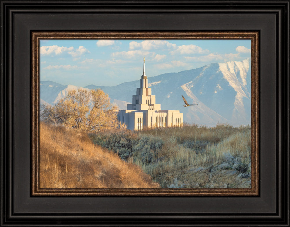 Saratoga Springs Temple - Upon His Wings