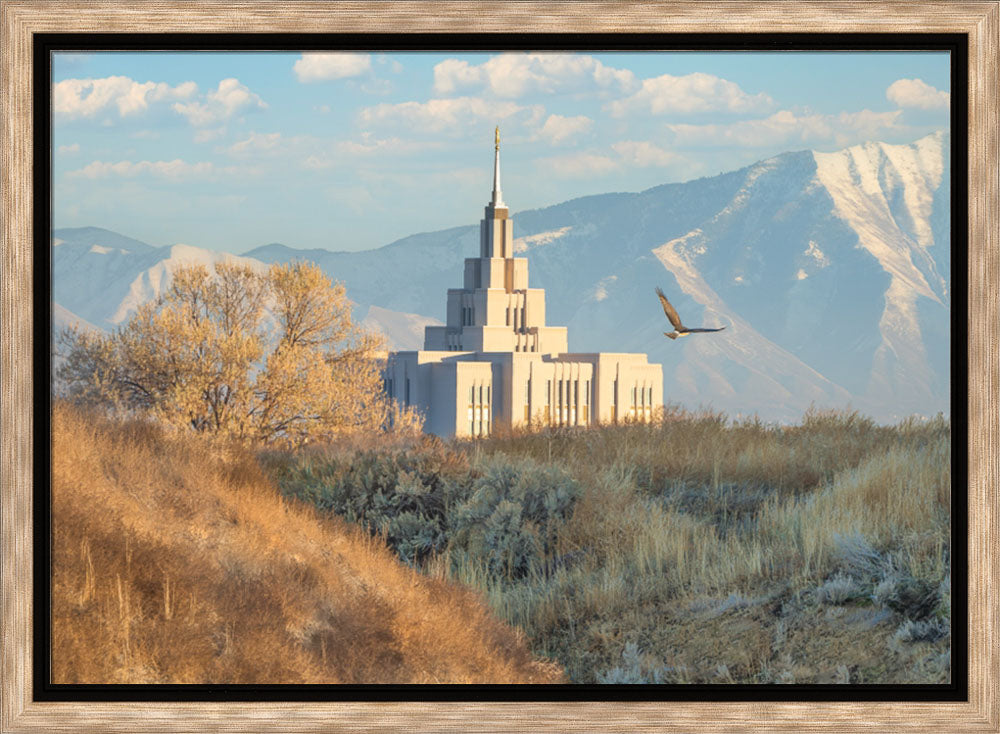 Saratoga Springs Temple - Upon His Wings