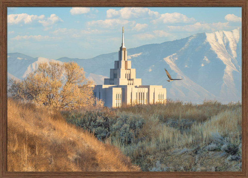 Saratoga Springs Temple - Upon His Wings